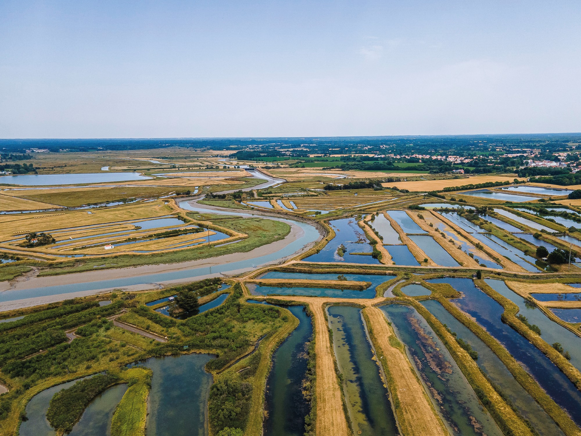 Photo drone du marais du Fenouiller en Vendée